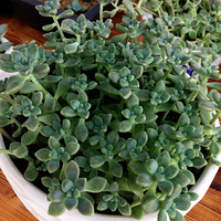 �Ӳ����Ҳ�Ƿǳ���