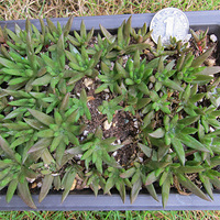 �������⼰�������Ѿ�������лл��ң�