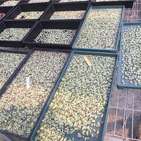 ��ʵ���������Ҷ�嶼��������