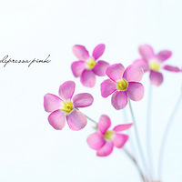 �����۵����ᱳʹ������������Ҳ��ֵ�ˡ���