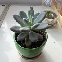 ��ɹ�����������Ҹ��֡�����ɹ��ͼ�����ˣ�