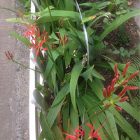ּ˰[/ްײ]