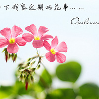 һ£VVҽڵĻ¶