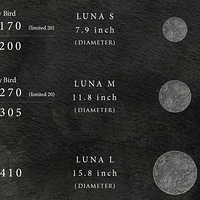 LUNA ʵǰսԸ