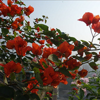 ֮ʮ