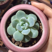 ����5���±仯