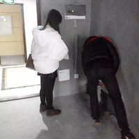 ���ڶ��������С�����