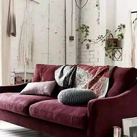 2016��ļҾ�����ɫ���㱻�ֲݹ�����