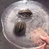 ж䣬Сڹ