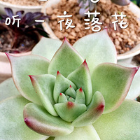 һ̸̸