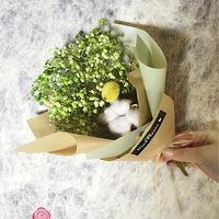 �ֹ��ɻ�����Ŷ