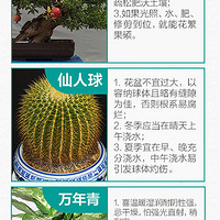 ������С���ҵ�1�ڡ����ֳ���ֲ����ֲС����