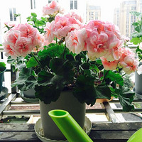 ����ܰ���Ļ�԰�����ÿ�������������ϲ����