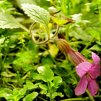 �������