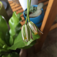 ����ˮ��Ҳ¶����