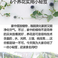 ������С���ҵ�3�ڡ�6������ʵ��С����