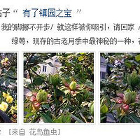 3�»������ɹ�մ���ѡ���²�˭��ɹ������