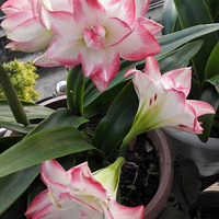 �춥�컨��ȸ����С�ĵ�ͷ����