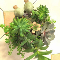 �������˺ö����꣬�ⳤͽ�ˣ������¼�Ҫ��