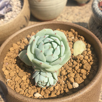 ��̫�����ø�����Щ�ɡ���