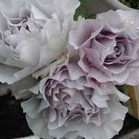 ������¼����˺ܶ�