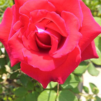 ������ʱ