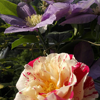 �Ͷ��ڿ��֣�����Ҳ����