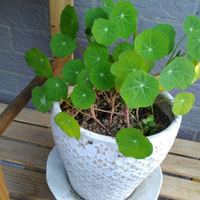 ���µĵ�һ�죬�кÿ��Ļ������õ���������