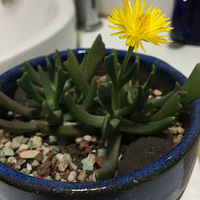 ����ö����ⶼ������