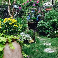 ��Ժ��ȥ�ֻ�