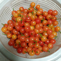 ժӣ