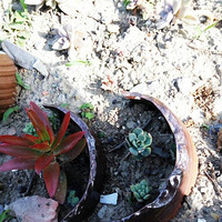 ���������⣬״̬����