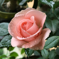 ץס�¼���β�����¼�����Ӧ�û��������¡�