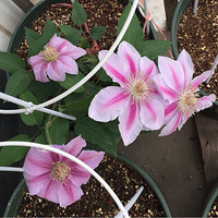 ������ļ���С��