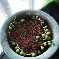 ����������Щ�����Ӻó�������ͼ����һ��