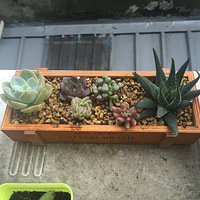 ���������ħ����������