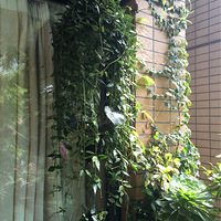 ���Ѹ����Ѱ�����������ʱ����ͷ����������