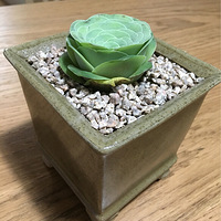 ����õ��