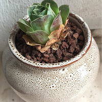 520.ף�������ճɾ���