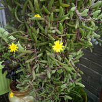 Ҳ�������Ҽ�¶̨