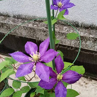 û���������ֵĻ�