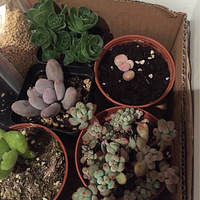 �ҵ����ɼ�