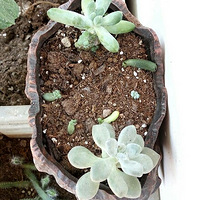 ��ɹɹ�Ҽҵ�����3