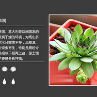 �Ŵ��У�����100�ֶ���ֲ��ͼ��+�ճ�����������2��