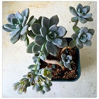 ����ǰ�Ķ���