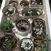 �ҵ�������