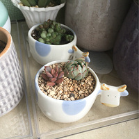 �ҵĶ������