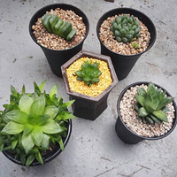 ����է����¶����