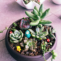 һ����Ⱥ���ƺ�����Ȼ���첻�ʺ��ֵ������