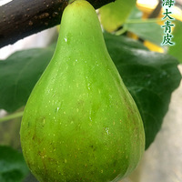 2016һ޻ϺƤ